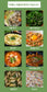 [SALON DE FOOD] 비밀의부엌 진한 파우더육수 "천연조미료/분말/멸치/채소/해물 가루육수" (1 Box = 35 sticks)
