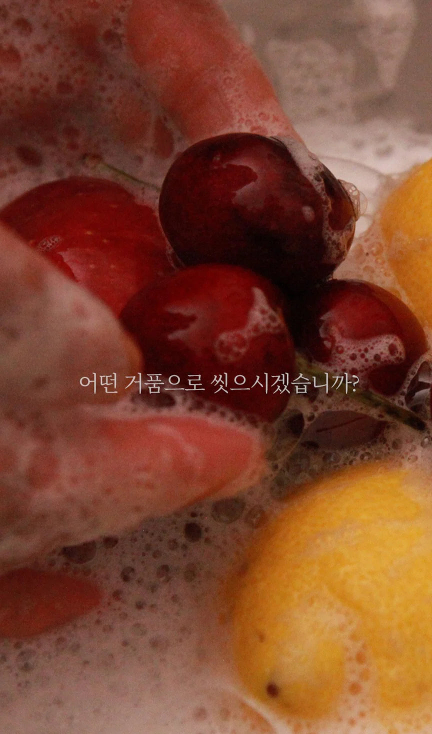 [TOUN 28] 🌱vegan/친환경 Dish Soap Bar 유기농 먹거리로 만든 친환경 고체형 1종 설거지비누 (4종:S26, S27, S29, S30)