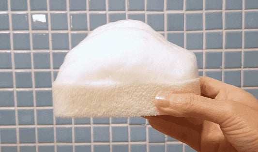 [TOUN 28] Filter Foam Sponge 필터폼 수세미 (1 EA) *한 주문당 최대 4개까지만 구매 부탁드려요*