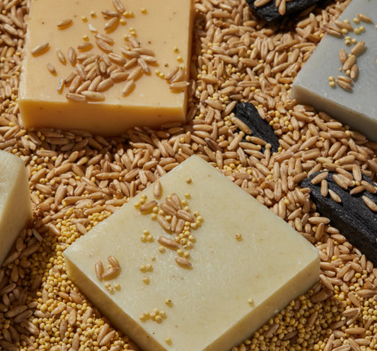 [TOUN 28] 🌱vegan/친환경 Dish Soap Bar 유기농 먹거리로 만든 친환경 고체형 1종 설거지비누 (4종:S26, S27, S29, S30)